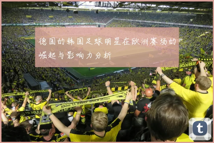 德国的韩国足球明星在欧洲赛场的崛起与影响力分析