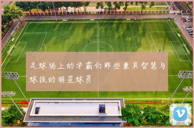 足球场上的学霸们那些兼具智慧与球技的明星球员