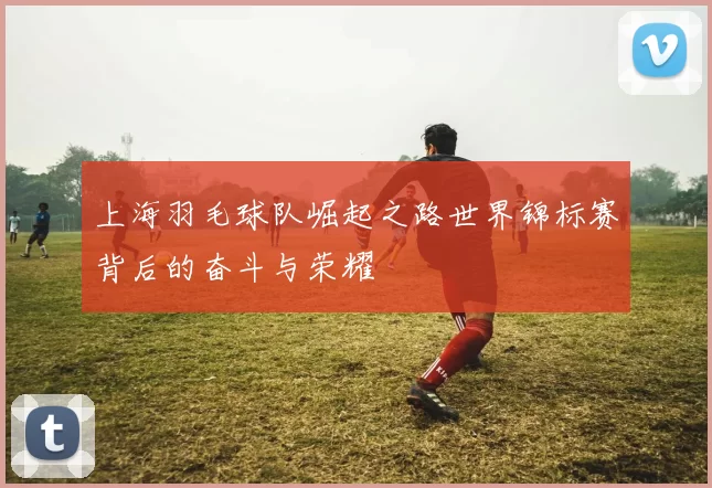上海羽毛球队崛起之路世界锦标赛背后的奋斗与荣耀