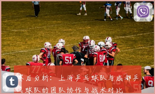 赛后分析：上海乒乓球队与成都乒乓球队的团队协作与战术对比