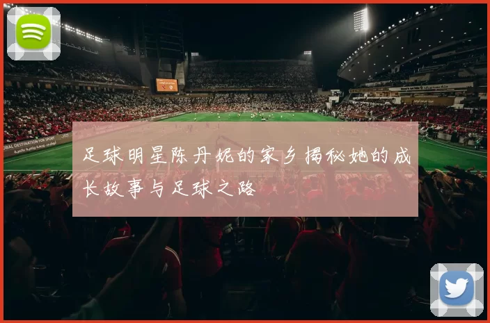 足球明星陈丹妮的家乡揭秘她的成长故事与足球之路