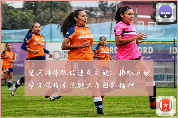 重庆排球队的速度之谜：排球巨献带你领略竞技魅力与团队精神