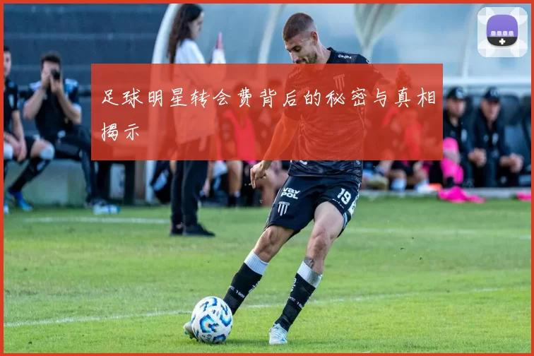 足球明星转会费背后的秘密与真相揭示