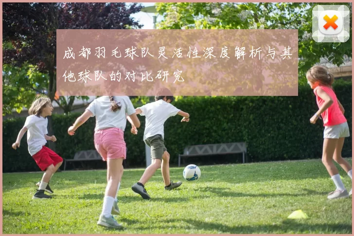 成都羽毛球队灵活性深度解析与其他球队的对比研究