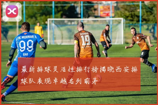 最新排球灵活性排行榜揭晓西安排球队表现卓越名列前茅