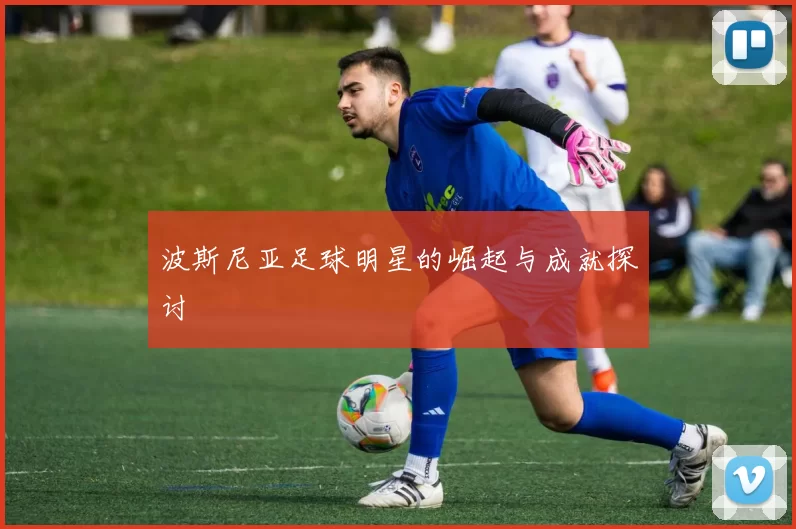 波斯尼亚足球明星的崛起与成就探讨