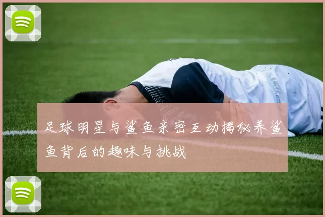 足球明星与鲨鱼亲密互动揭秘养鲨鱼背后的趣味与挑战