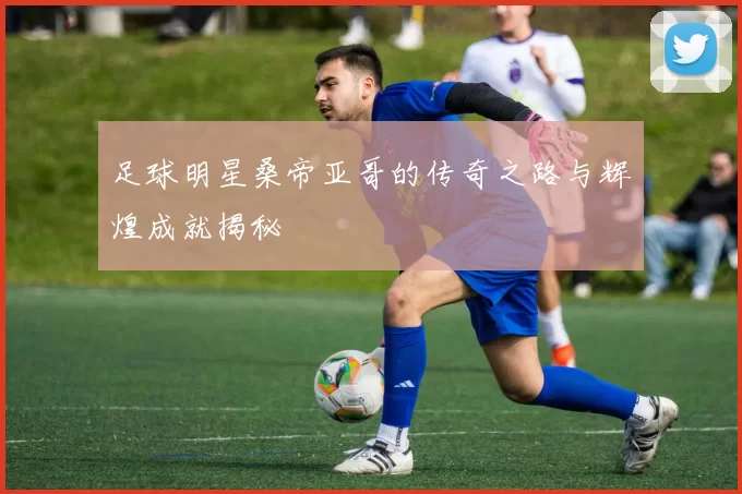 足球明星桑帝亚哥的传奇之路与辉煌成就揭秘