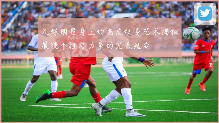 足球明星身上的老虎纹身艺术揭秘展现个性与力量的完美结合